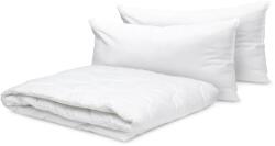 Brius Set Brius Pilota Alba 180x210 + 2 Perne Albe 50x70, Alb, Intretinere, Lavabila la masina (40 C) (BB5942632033610RIZ)