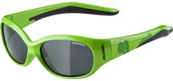 Alpina Napszemüveg Alpina Flexxy Kids (A8466.4.75)