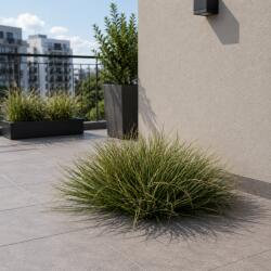  Planta artificiala tufa de iarba tip ceapa curbata, 38 cm, verde inchis (AT1CT-IM1P-PL1D-SKCL64/SSCP568)