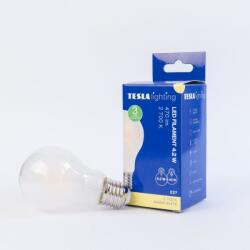 TESLA Tesla - LED izzó FILAMENT RETRO BULB, E27, 4, 2 W, 230 V, 470 lm, 25000 h, 2700K meleg fehér, 360° (BL274227-1F)