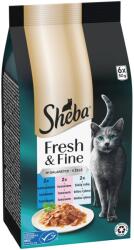Sheba Fresh & Fine tasakok, tonhal, lazac és fehér hal 3 x (6x50 g)
