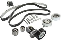 INA Kit Set Distributie (curea + Intinzator + Pompa de Apa) ) Audi A1 A3 Q3 Tt Seat Alhambra Altea Altea Xl Ibiza Iv Ibiza (530055050)