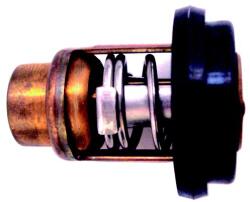 RECMAR Termostat al Sistemului de Racire (mercury/Mariner 8 Hp - 9.9 Hp) Mariner Mercury 0.21 0.21 MARINER Marine, Nautic (RM855676005)