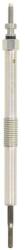 Bosch Bujie Incandescenta 0250213010 (0250213010)