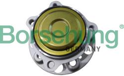 BORSEHUNG Set rulment roata BORSEHUNG B11716 (B11716)
