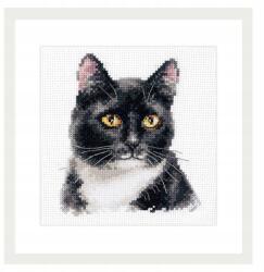  Keresztszemes hímzőkészlet Fekete macska 11x12 cm (1-37)