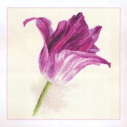  Keresztszemes hímzőkészlet Tulipánok. Lila bársony 22x26 cm (2-44)