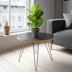 Alista Home Planta artificiala frunze zebra decorativa 34 cm, verde, in ghiveci, decor casa birou (GLB_11896D)