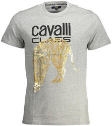 Cavalli Class Rövid Ujjú Férfi Póló Szürke (qxt061ijd060_160bc49_grigio0496_l)