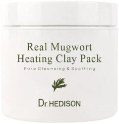 DR HEDISON Masca cu argila si extract de pelin, 265g*Spatula, 1 bucata, Dr Hedison Masca de fata