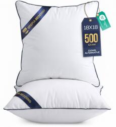 TYPEC Set 2 perne decorative pentru umplutură Utopia Bedding, 45 x 45 cm (18x18 inch), umplutură siliconizată pufoasă, perne albe pentru canapea, fotoliu sau pat