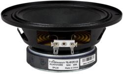 Tymphany Peerless Hangszóró FSL-1015R02-08, 8 , 100 W (FSL-1015R02-08)