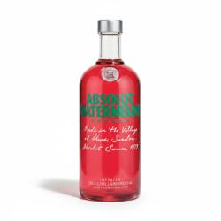  Vodca Absolut Watermellon 40%, 0.7L