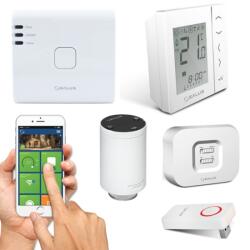 SALUS Pachet control independent in fiecare camera Salus IT600 pentru casa cu 10 calorifere (VS20WRF(10))