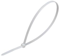 CELO Bride 2.5x100mm plastic transparente pentru cabluri interior exterior 100buc CELO 125100CCT (21639)