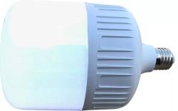 TED Electric Bec LED E27 230V 40W 6400K A120 HighPower 3400lm TED (TED140R)