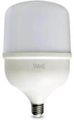 Well Bec LED T140 E27 50W 230V lumina rece 6500K 5500lm Well LEDLC-T14050E27-E-WL (22154)