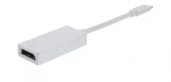Well Adaptor USB Type C 3.1 la DisplayPort 4K 60Hz Well (ADAPT-USBC-DP/4K60-WL) - balutatech