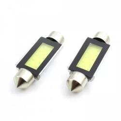 Carguard LED Sofit Plafoniera numar 41mm 12V 3W 150lm 2buc CLD020 Carguard (16681)