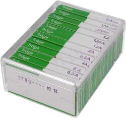 ESKA Siguranță fuzibil sticlă 315mA-10A, întârziere (632.830)
