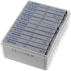 ESKA Siguranță Sticlă Ardere Rapidă 6, 3x32mm (632.800)