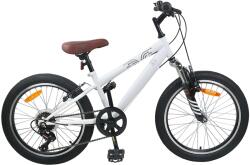 vidaXL 42009740 20 Bicicleta