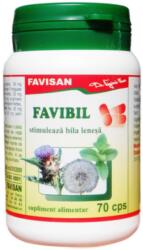 FAVISAN Favibil, 70 capsule, Favisan