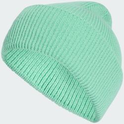 adidas Căciulă adidas TERREX MULTI, pulse mint (S/M (54-56 cm))