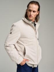 Dorko Peter (26fma0160210xxl)