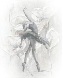 MARBURG Fototapet alb negru Balerina 36391