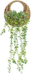  Planta suspendata artificiala Atmosphera Eucalyptus Zea, in cos impletit, 26x11x26 cm, verde (JJ-204255)