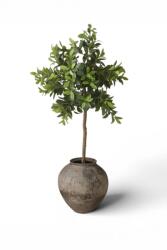Botané decorativ 170 x 90 cm 99KK-DRUZIL_77X (BOT.TP.004)