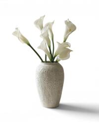 Botané buchet artificial decorativ 65 x 10 cm 99KK-DRUZIK_00X (BOT.WI25.BOU.001)