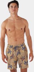 Barts Fervis Shorts D