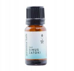 Aroma'Lab Aromalab Sinus Öböl keverék természetes illóolajokból (10 ml) (Aromalab)