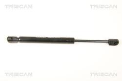 TRISCAN Amortizor portbagaj TRISCAN 8710 27219 (8710 27219) - fixbox