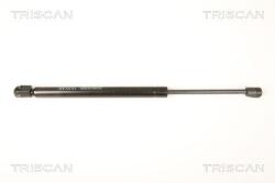 TRISCAN Amortizor, luneta TRISCAN 8710 80207 (8710 80207) - fixbox