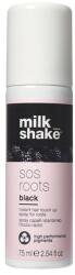 milk_shake Milk Shake, Sos Roots, Root Touch-Up Spray, Black, 75 ml (8032274121756)
