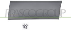PRASCO Elemente decorative/protectie, aripa PRASCO FT9001456 (FT9001456)