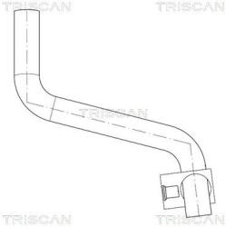 TRISCAN Furtun hidraulic, sistem de directie TRISCAN 8516 29062 (8516 29062)