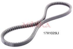 ASHIKA Curea transmisie ASHIKA 109-17X1025 (109-17X1025) - fixbox
