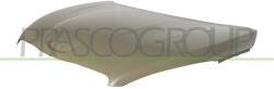 PRASCO Capota motor PRASCO PG5303100AQ (PG5303100AQ) - fixbox
