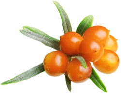Lamore Homoktövis hús-héj őrlemény (120 g)