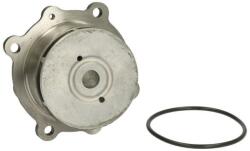 THERMOTEC Pompă de apă, răcire motor THERMOTEC WP-DE106 (WP-DE106)