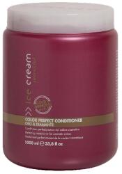 Inebrya Color Perfect mask 1 l