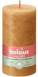 Bolsius Spice Brown, 415 g