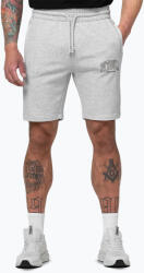 Pitbull Pantaloni scurți pentru bărbați Pitbull Badger grey/melange
