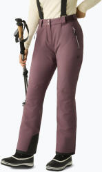 Dare 2b Női sínadrág Dare 2b Effused III Pant huckleberry