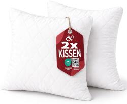 TYPEC Set 2 Perne Decorative Flowen 50x50 cm, Umplutură Hipoalergenică și Anti-Acarieni, Huse Matlasate Detașabile cu Fermoar, pentru Canapea și Pat