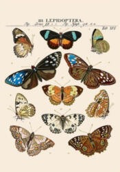  PICTURA Textured notebook A5 (25233) 96 lapos vonalas (3494150183411)